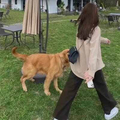 爱杀特攻队