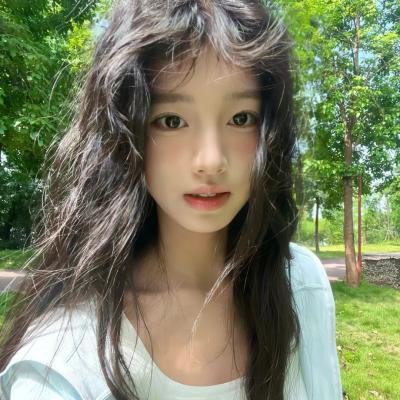 彩凤朝阳